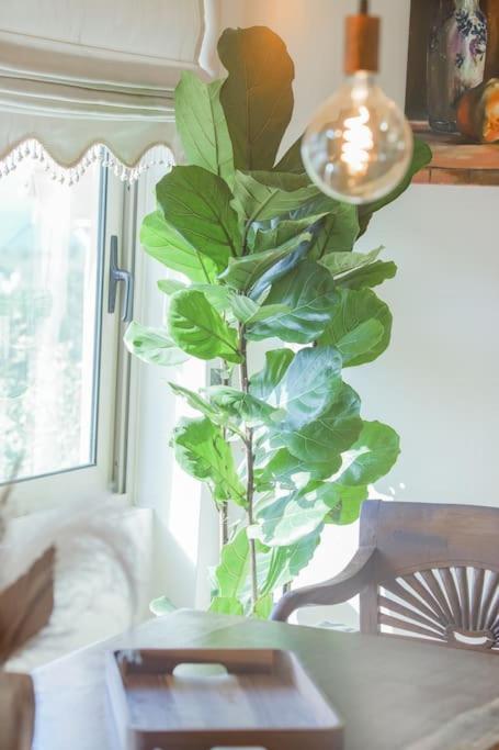 Mulberry Tree Villa Agios Nikolaos  Bagian luar foto