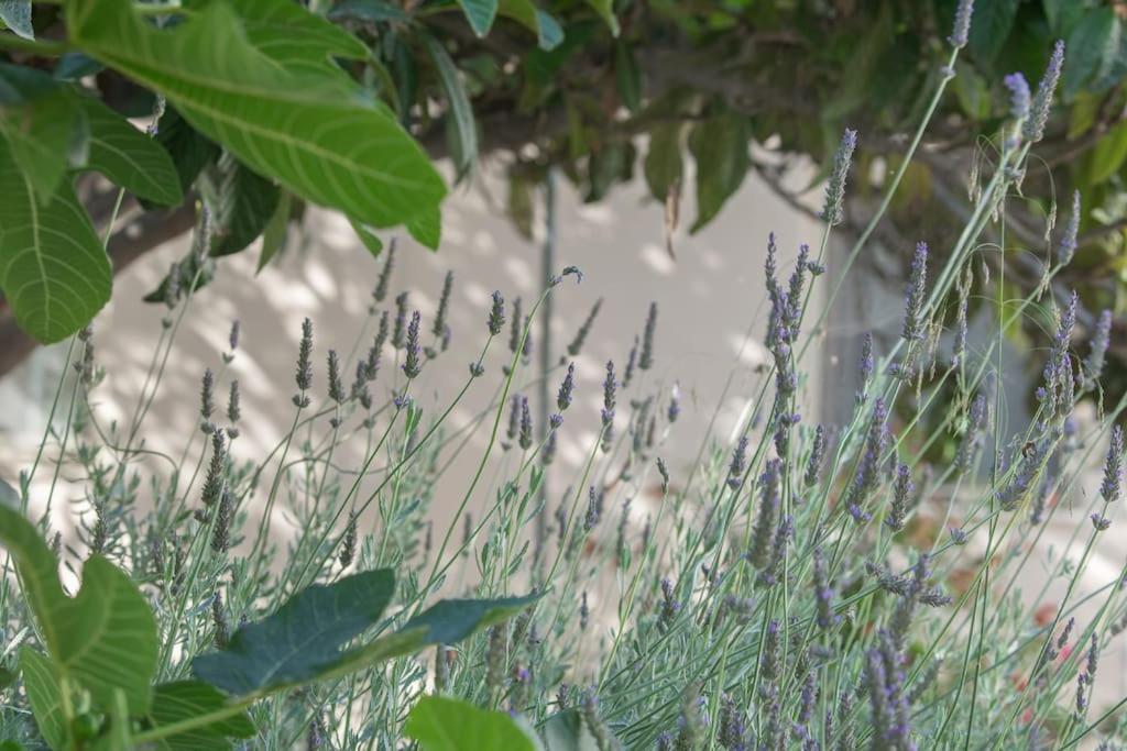Mulberry Tree Villa Agios Nikolaos  Bagian luar foto