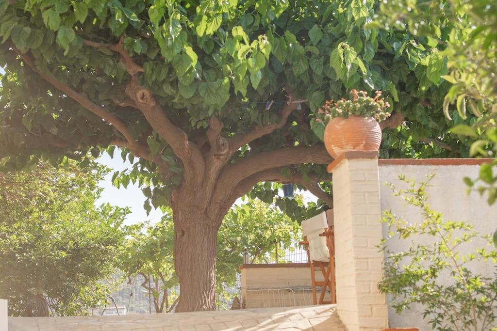 Mulberry Tree Villa Agios Nikolaos  Bagian luar foto