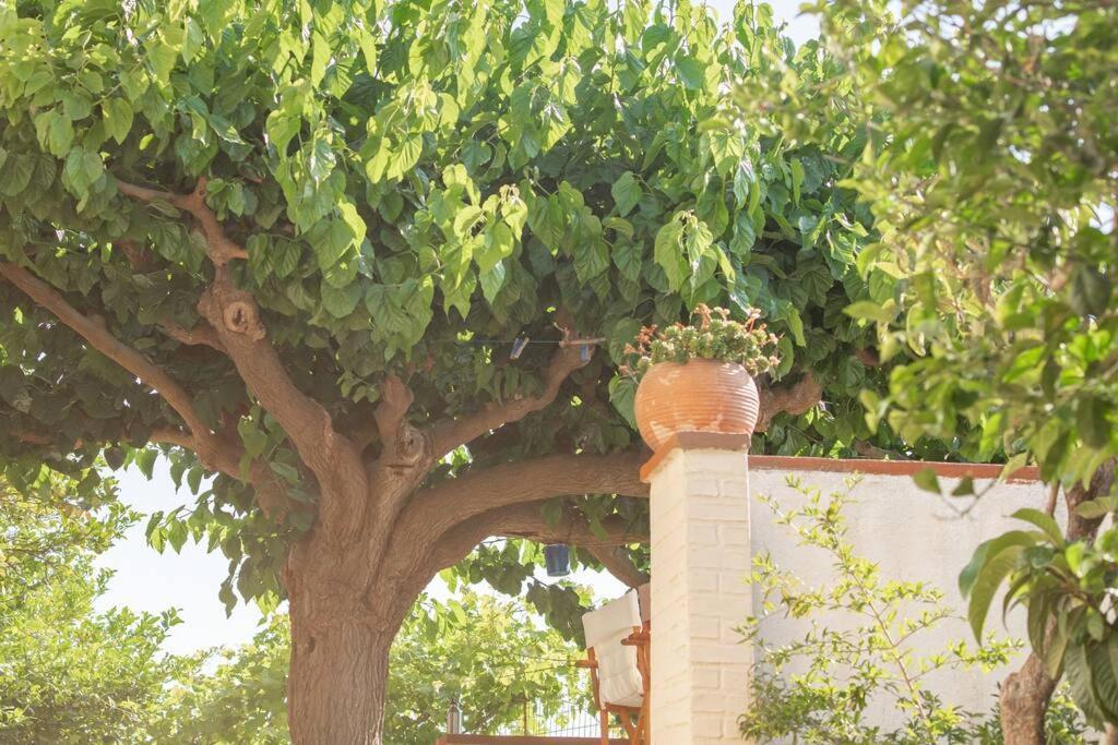 Mulberry Tree Villa Agios Nikolaos  Bagian luar foto